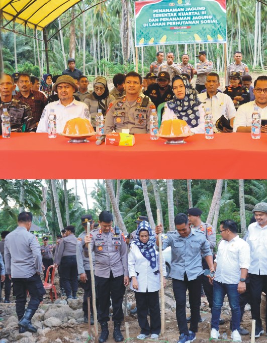 Dukung Swasembada Pangan Nasional, KAPOLRES TOLITOLI MELAKSANAKAN  Penanaman Jagung Serentak Kuartal III