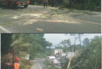 Dua Bhabinkamtibmas Polsek Rantau Selamat Sigap Tebang Pohon Hampir Tumbang di Jalan Lintas Medan-Banda Aceh