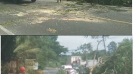 Dua Bhabinkamtibmas Polsek Rantau Selamat Sigap Tebang Pohon Hampir Tumbang di Jalan Lintas Medan-Banda Aceh