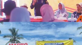 Bupati Bolmut Panen Jagung Hibrida di Desa Sidodadi