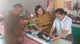 Posyandu Desa Sea Induk, Beatrix Tamuntuan: Kami Berikan Perhatian Khusus untuk Balita, Ibu Hamil, dan Lansia