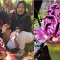 Bunga Bangkai Mekar Pertama Kali di Tolitoli, Warga Berbondong Menyaksikan