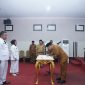 Bupati Bolmut Lantik Penjabat Sangadi Dua Desa