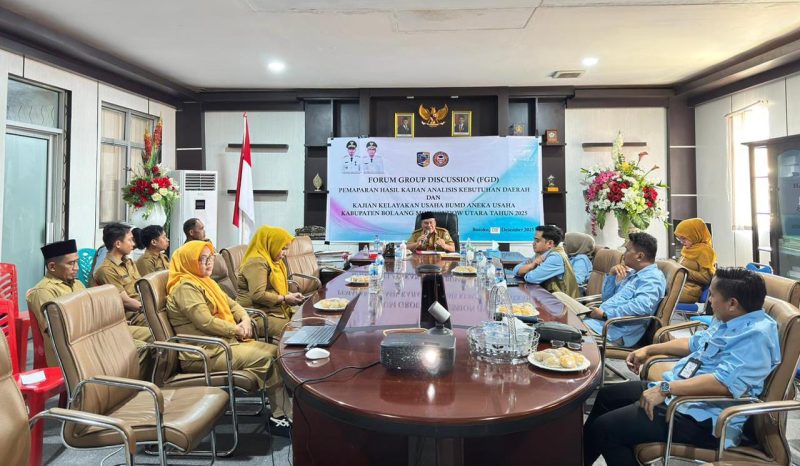 Penyusunan Kajian Kebutuhan Daerah dan Kelayakan Usaha BUMD Aneka Usaha 2025