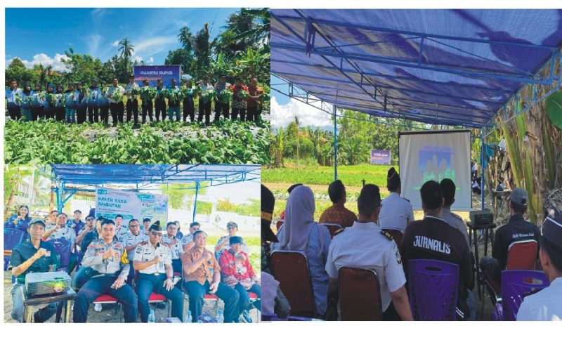 Lembaga Pemasyarakatan (Lapas) Kelas IIB Tolitoli menggelar Panen Raya Serentak di lahan pembinaan kemandirian warga binaan