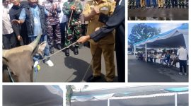 Gubernur Sulut YSK dan Sekprov Sulut Bersama Presiden RI Prabowo Subianto Salurkan 46 Sapi Kurban