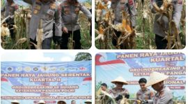 Dari Desa Sendangan hingga Nasional, Polda Sulut tampil terdepan mendukung program Presiden RI Prabowo Subianto melalui gerakan nyata ketahanan pangan berbasis rakyat.